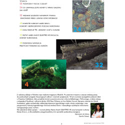 BlueLfe Mag magazyn o nurkowaniu
