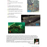 BlueLfe Mag magazyn o nurkowaniu