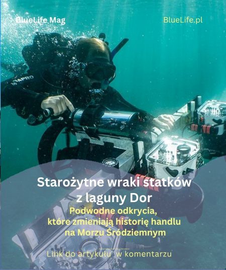 Starożytne wraki statków z laguny Dor